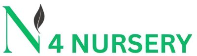 N4nursery and Landscaping-Pine Avenue Road Lahore.+923454419922